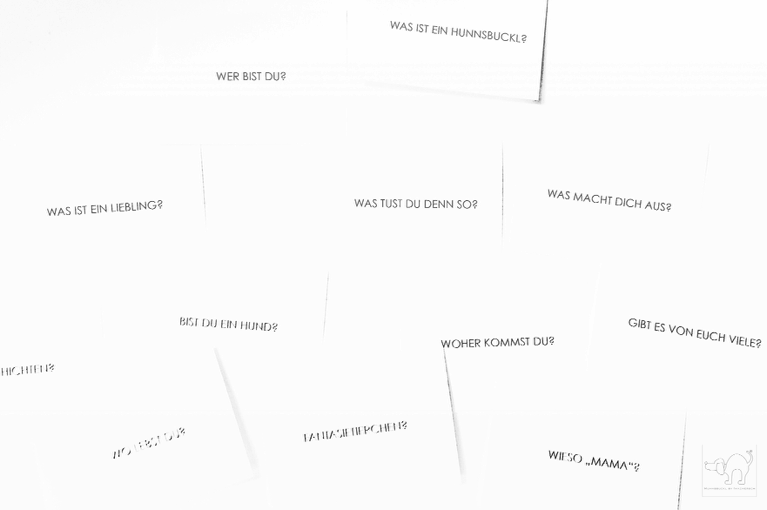DER_HUNNSBUCKL_DAS_INTERVIEW_DIE_INTERVIEW_FRAGEN_AN_DER_WAND_IM_ATELIER_SCHWARZ_WEISS_COPYRIGHT_2016_HUNNSBUCKL_BY_IWAZWERSCH_WWW.IWAZWERSCH.DE