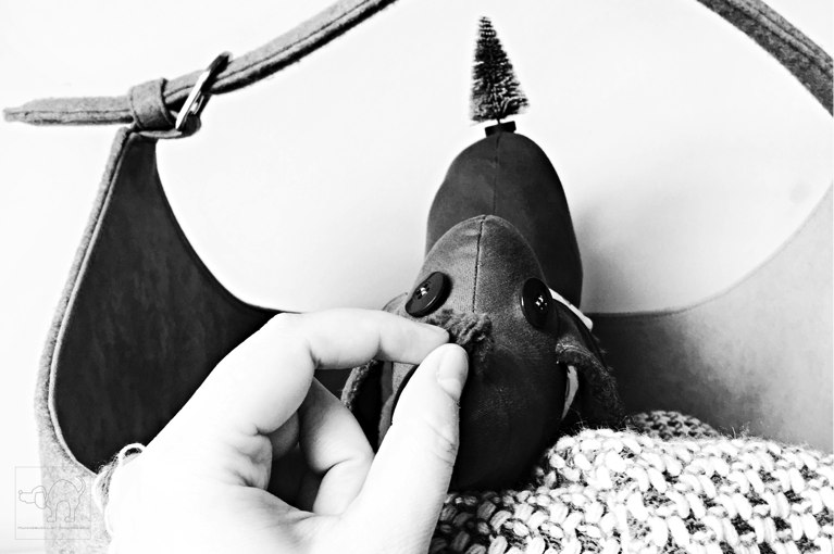 HUNNSBUCKL_IN_THE_BASKET_STUDIO_TREE_BLACK_AND_WHITE_HUNNBSUCKL_THE_INTERVIEW_COPYRIGHT_2017_HUNNSBUCKL_BY_IWAZWERSCH_WWW.IWAZWERSCH.DE_WWW-SHOP-IWAZWERSCH.DE