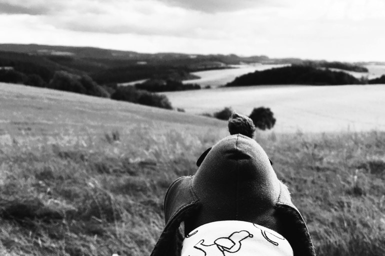Copyright Hunnsbuckl by Iwazwersch 2016
