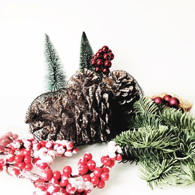HUNNSBUCKL BY IWAZWERSCH WEIHNACHTSSHOOTING DEKO